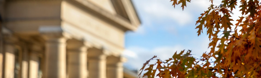 Applied Public Policy Strategies - policy consulting and governance